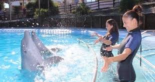 Selwo Marina -merimaailma