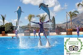 Mundomar-merieläinpuisto