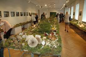 Latvian historian museo