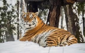 Ljubljanan eläintarha