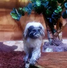 Aquarium Terrarium Sibenik