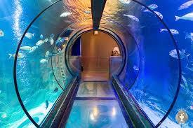 SEA LIFE Konigswinter