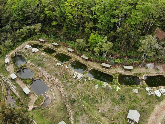 Parque Ribeira Primeira