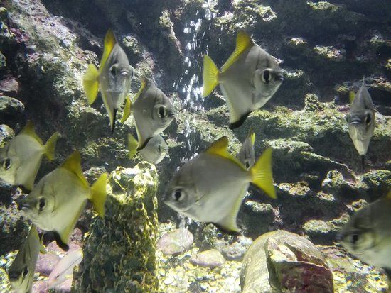 Kung Krabaen Bay Aquarium