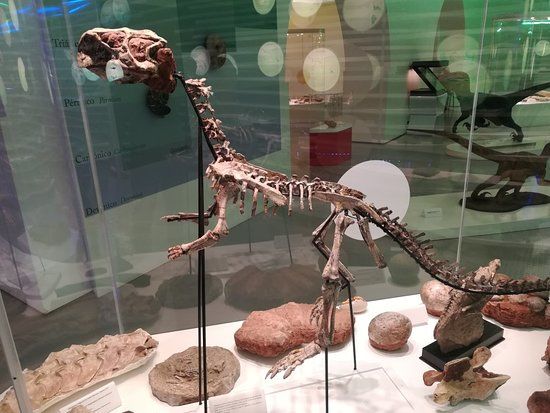 Sintra Natural History Museum