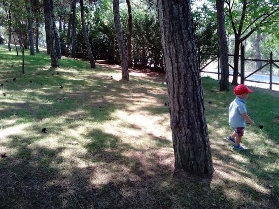 Thessalonikin eläintarha