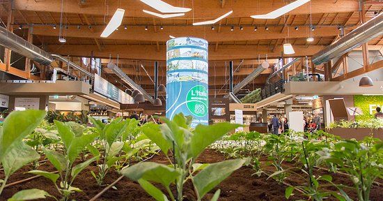 Fico Eataly World -keskus