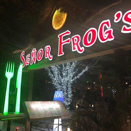 Senor Frogs Tenerife