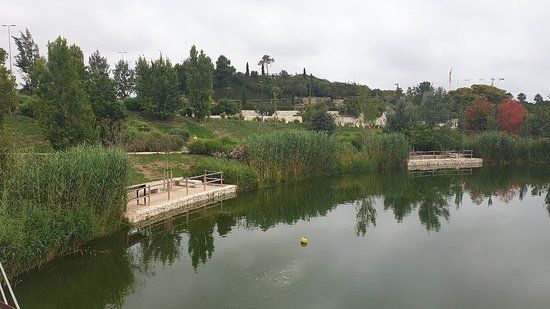 Parque La Marjal