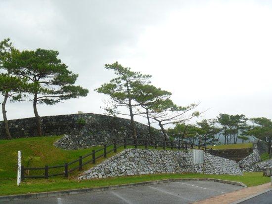 21st Century Forest Park