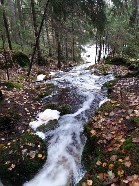 Nuuksion kansallispuisto