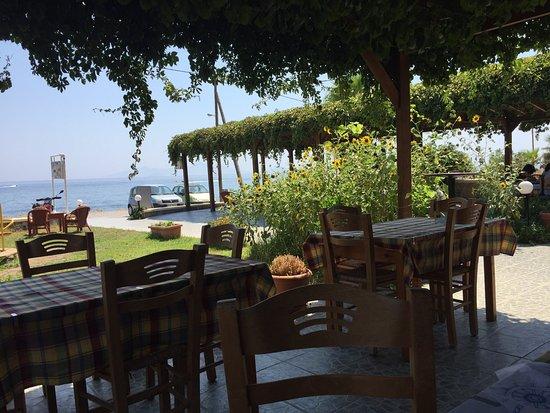 Big Mikes Restaurant Bar