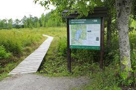 Murrumetsa matkarada