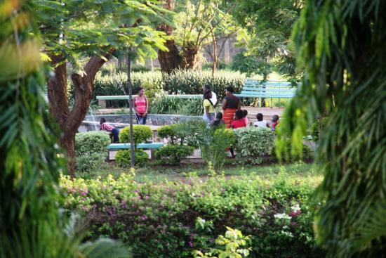 Uhuru Park Garden