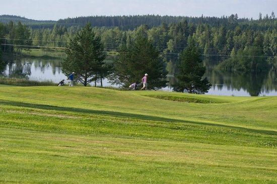Laukaan Peurunkagolf