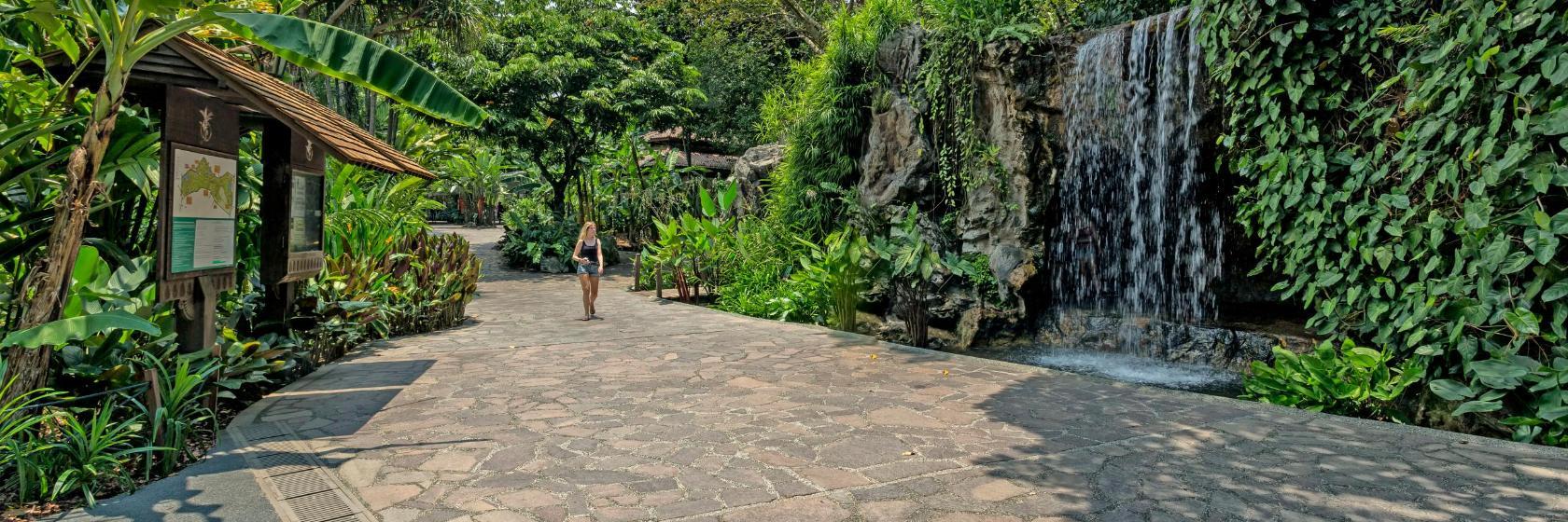 Singaporen kasvitieteellinen puutarha