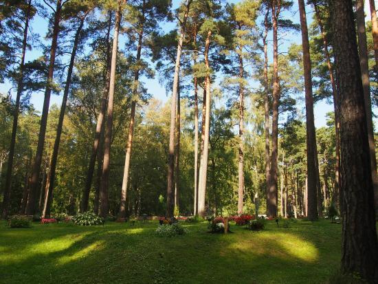 Skogskyrkogårdenin hautausmaa