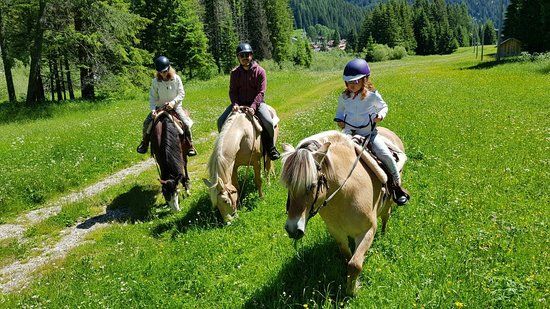 Charlotte Horse Riding
