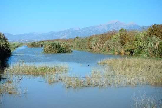 S'Albufera de Mallorcan luonnonpuisto