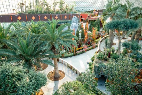 Gardens By the Bay -luonnonpuisto