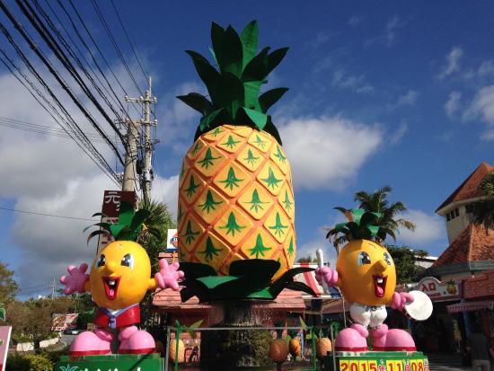 Nago Pineapple Park