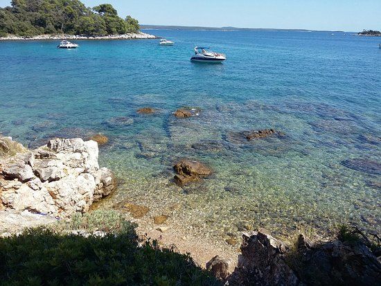 Zlatni Rt -metsäpuisto