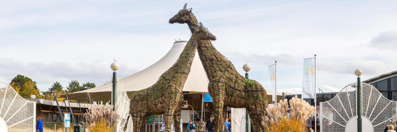 Diergaarde Blijdorp -eläintarha