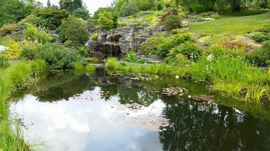 Kasvitieteellinen puutarha