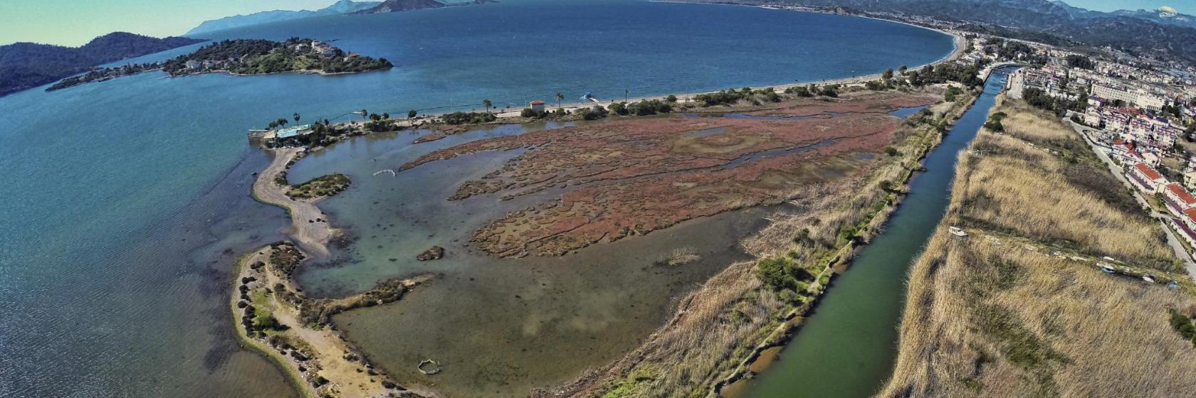 Lintujen suojelualue