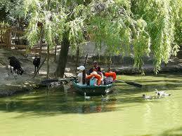 Le Petit Paradis De Vendargues