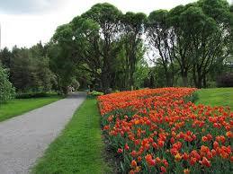 Hatanpään arboretum