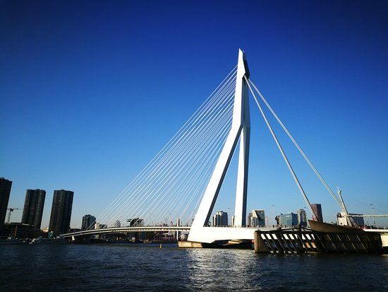 Erasmusbrug-silta