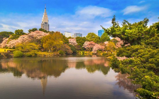 Shinjuku-gyoen