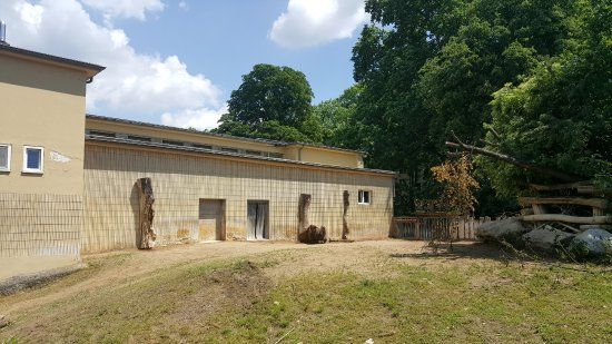 Frankfurtin eläintarha