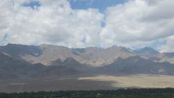 Sharda Vegetarian Restaurant